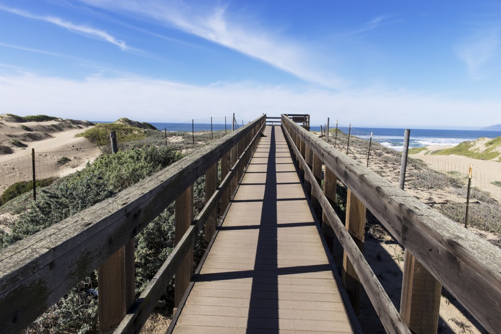 Boardwalk trail leading to the Pacific Oceano Overlook