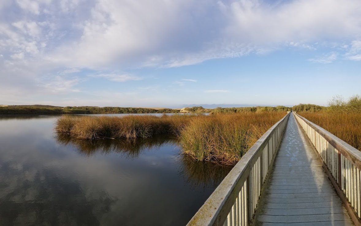 Bridge boardwalk over lake