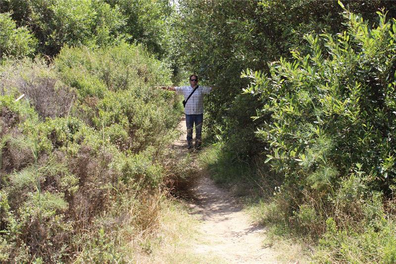 Invasive Species Removal 1
