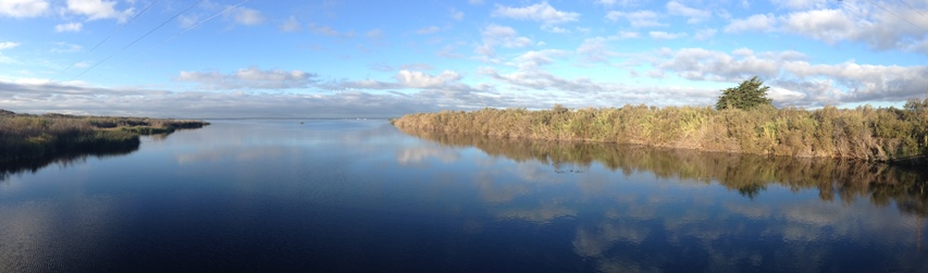 McGrath SB estuary