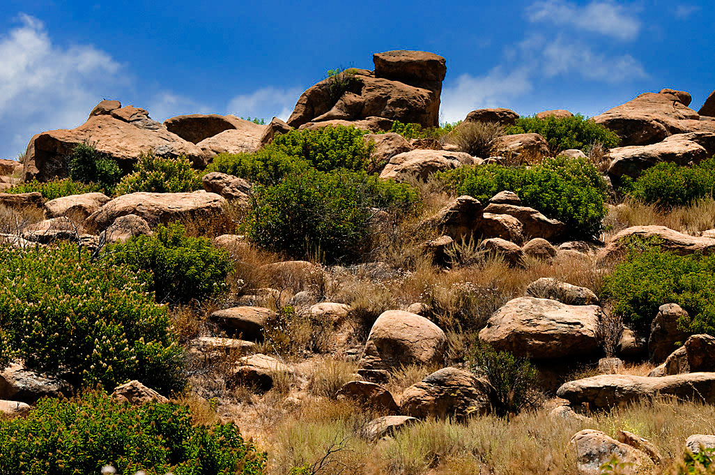 Santa Susana Pass SHP Santa Susana Pass SHP