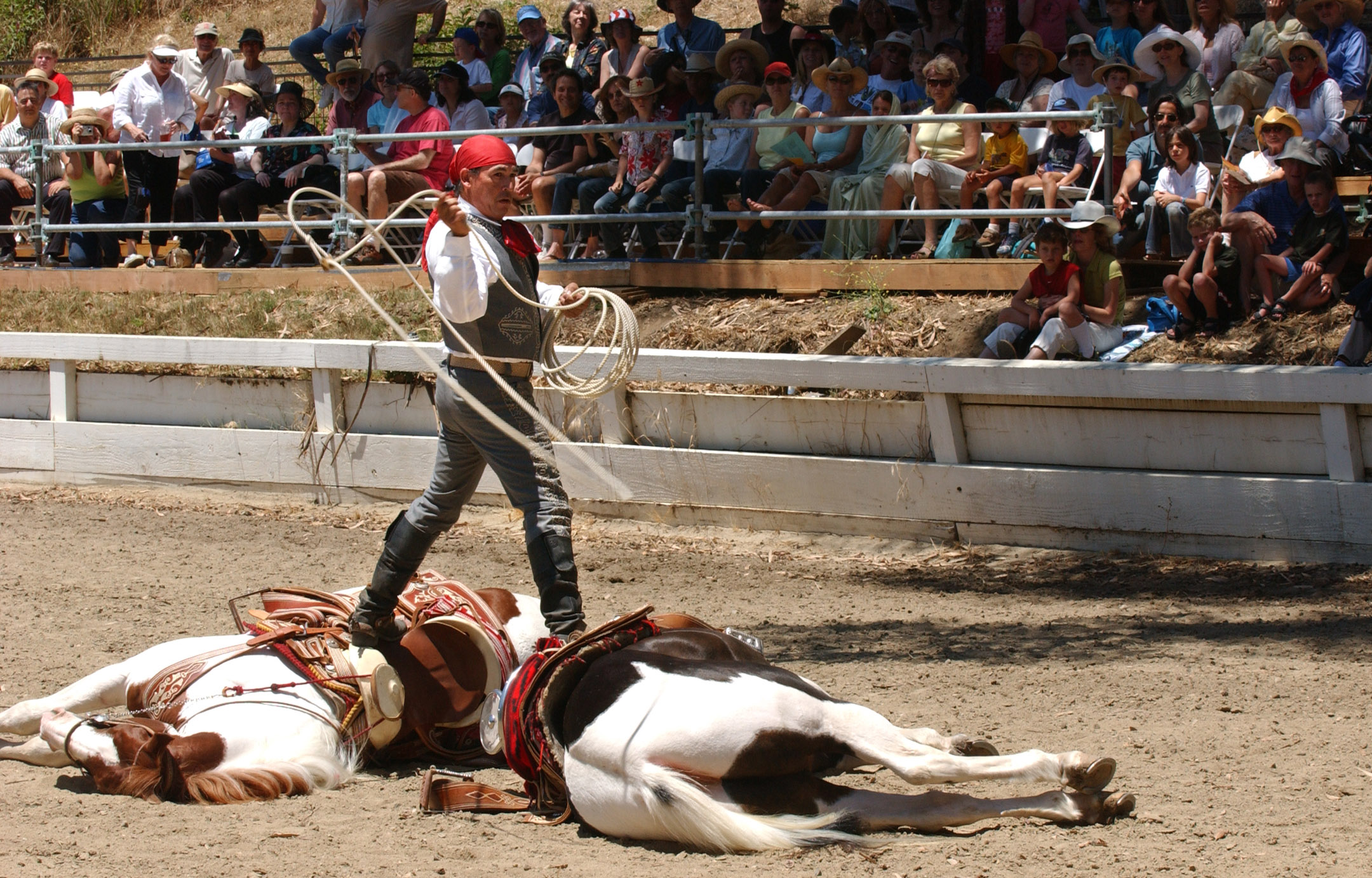 Ramon Becerra Trick Roper (Photo by Rich Schmitt)