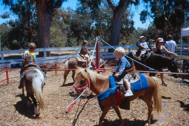 Pony Rides were a big hit.