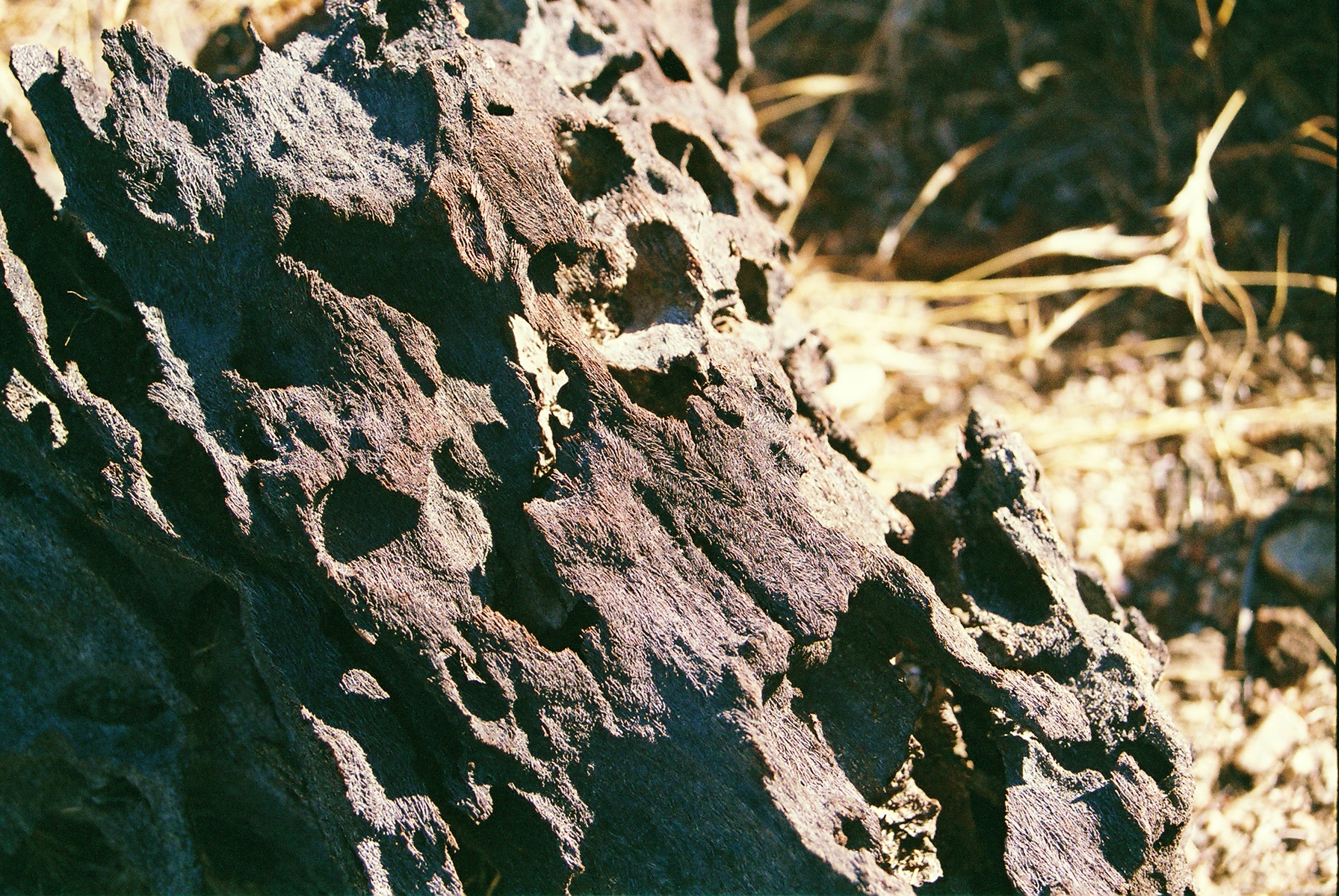 (c) California State Parks