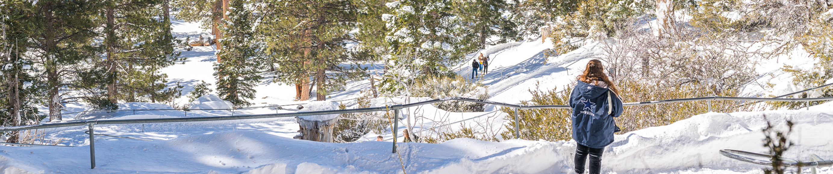 Snow in Long Valley