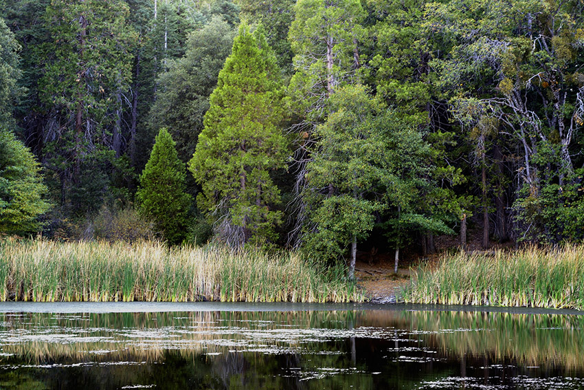 Palomar Mountain Image