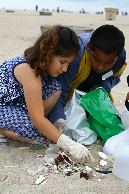 Beach clean up image