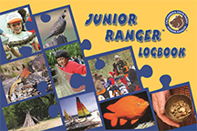 Junior Rangers Logbook