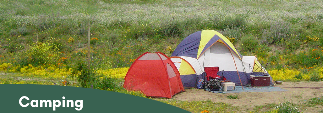 Camping Banner