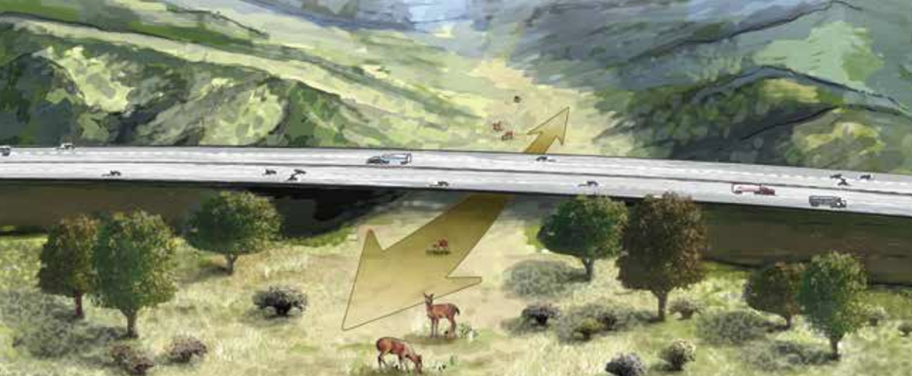 Wildlife Corridor Image