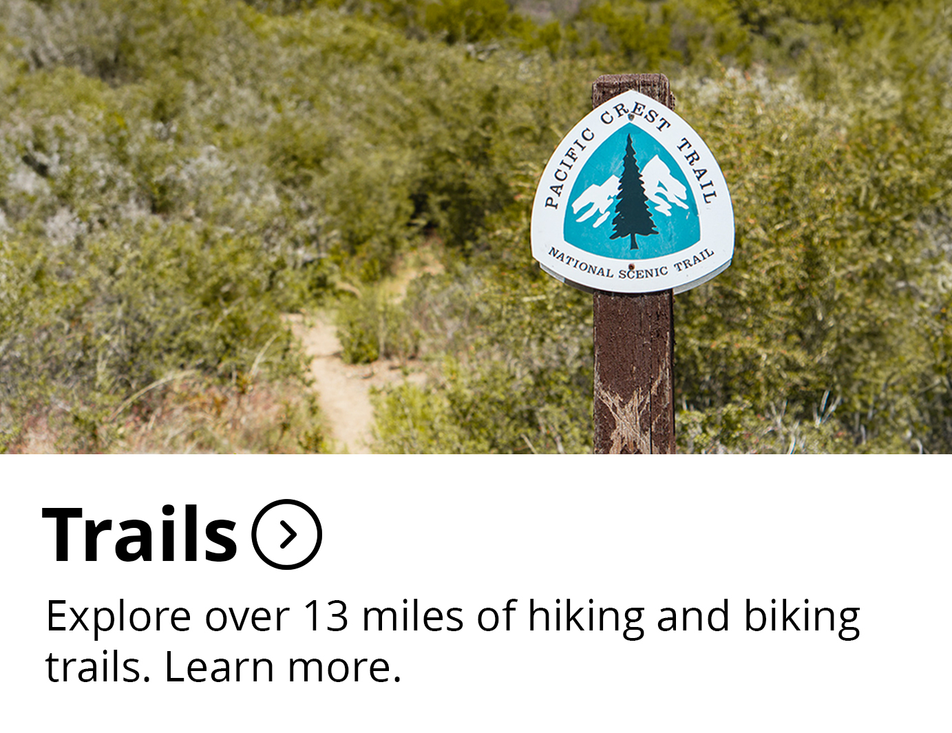 Trails Button