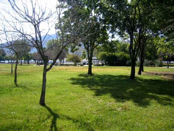 Group Picnic 4