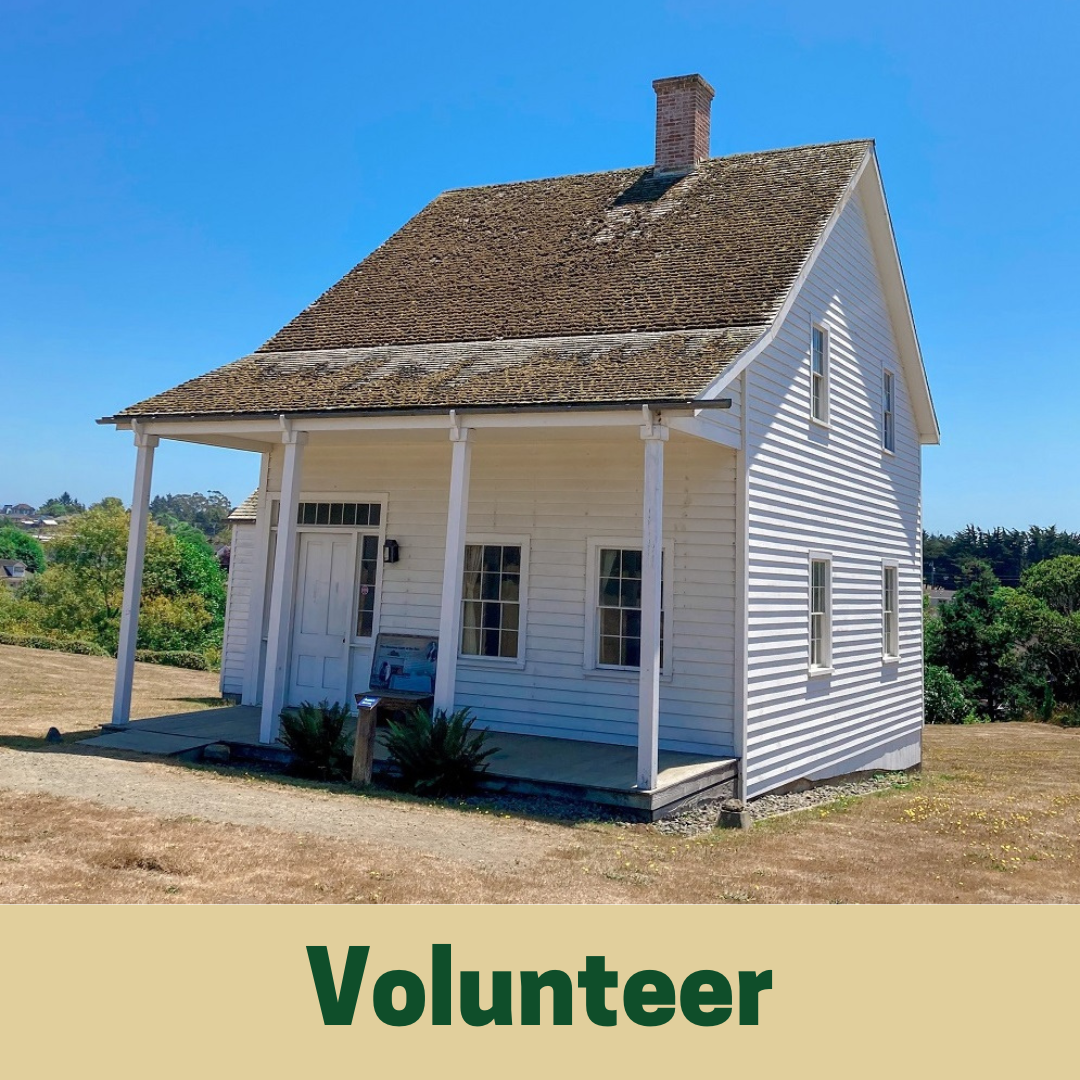 Link to the volunteer portal