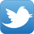 Twitter Icon