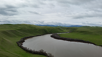 Back of Lake in Spring