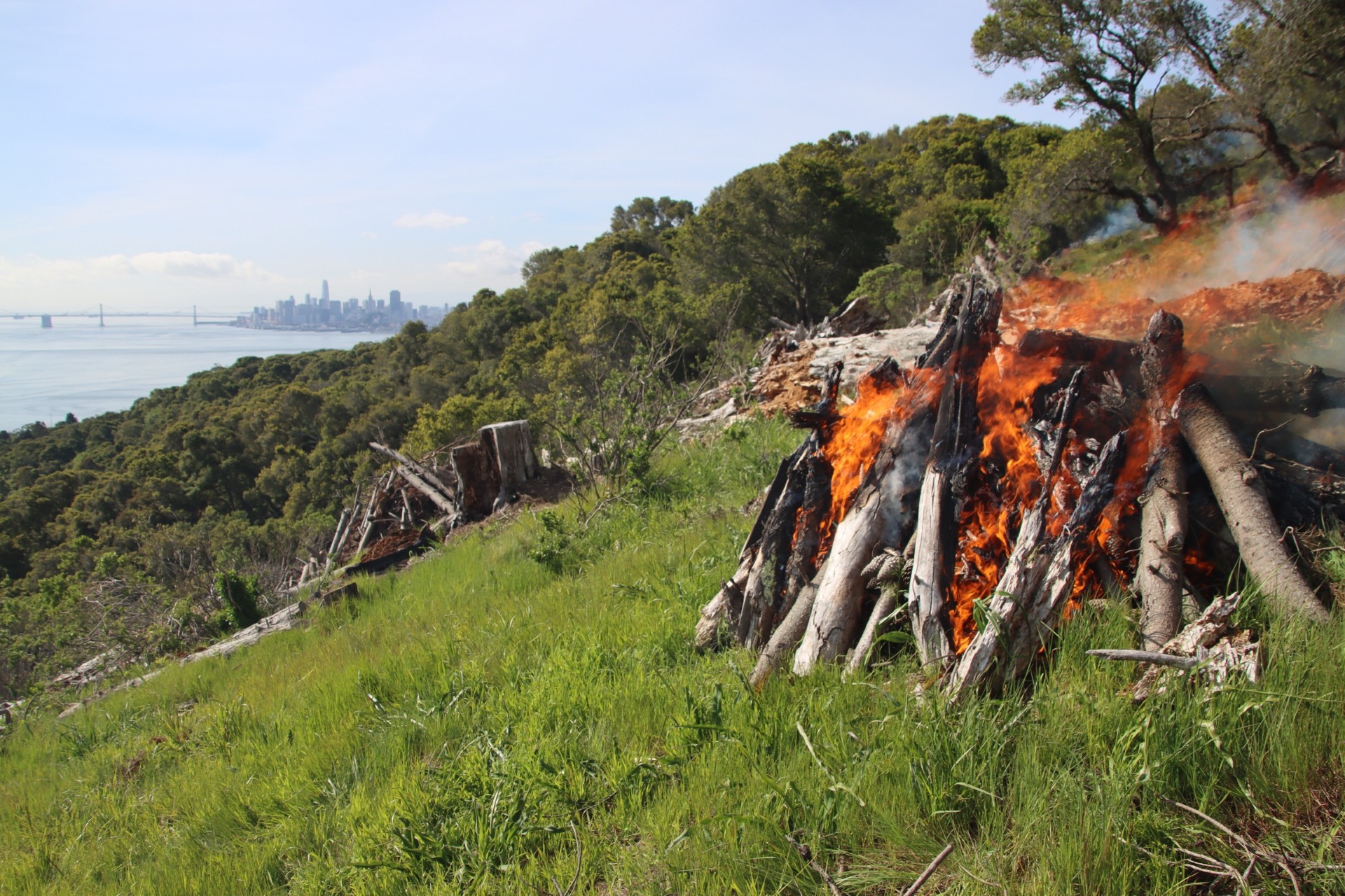 2023 Pile Burn at Angel Island