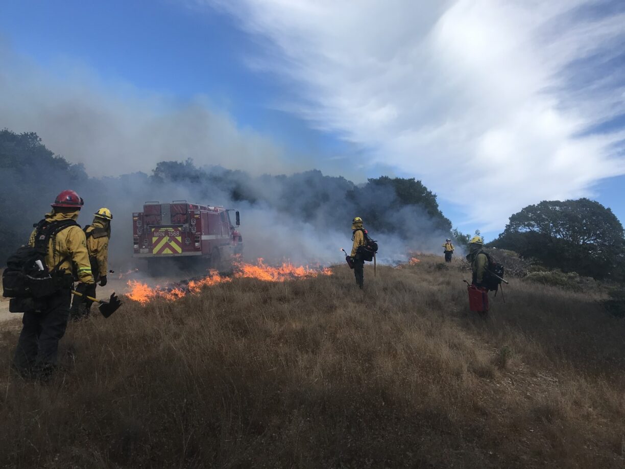 China Camp State Park Broadcast Burn 2023