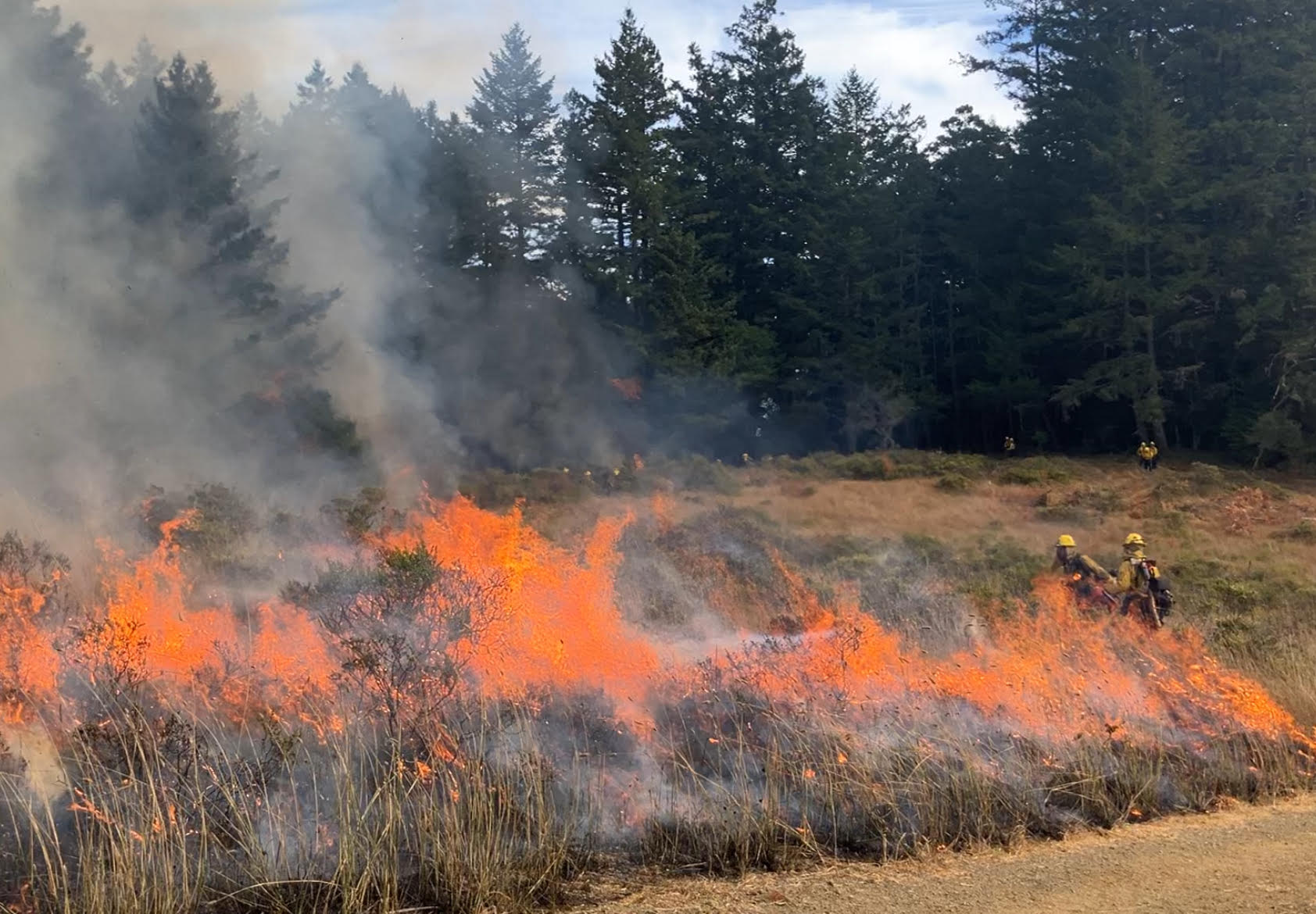 2024 Burn at Mt. Tamalpais SP