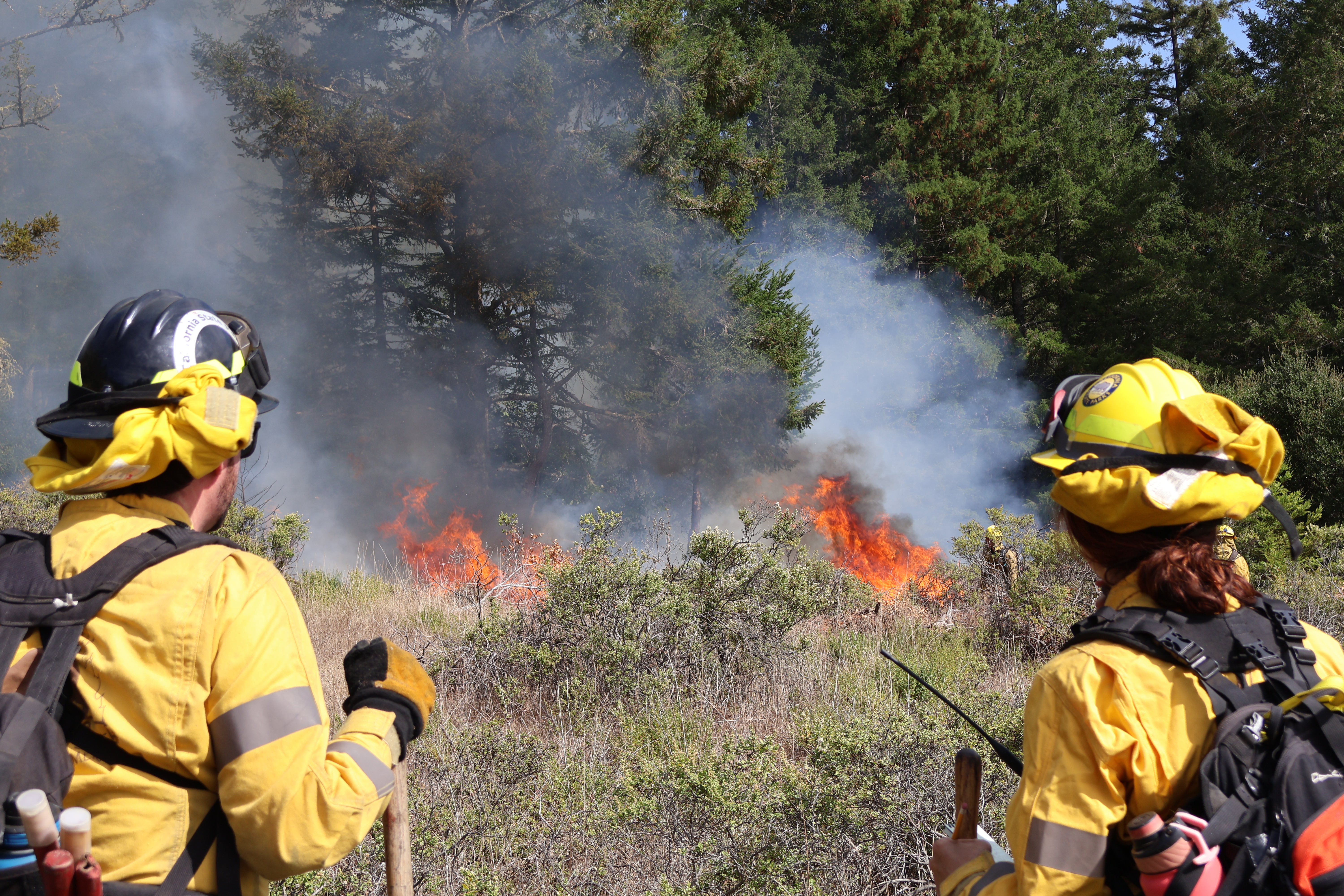State Park Fire crew observe Prescribed burn