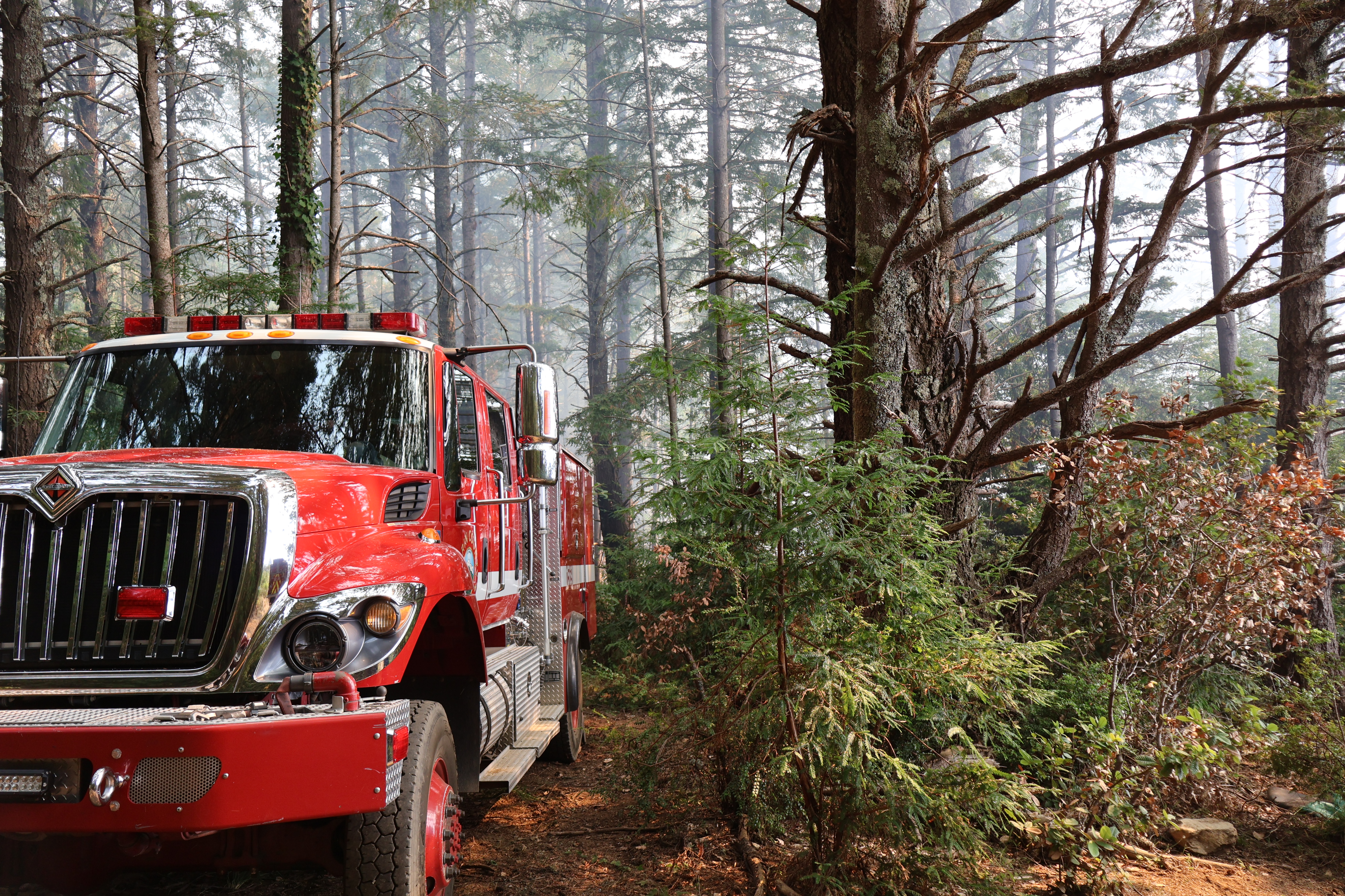 Fire Engine parked in a forest