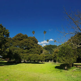 Olompali State Historic Park