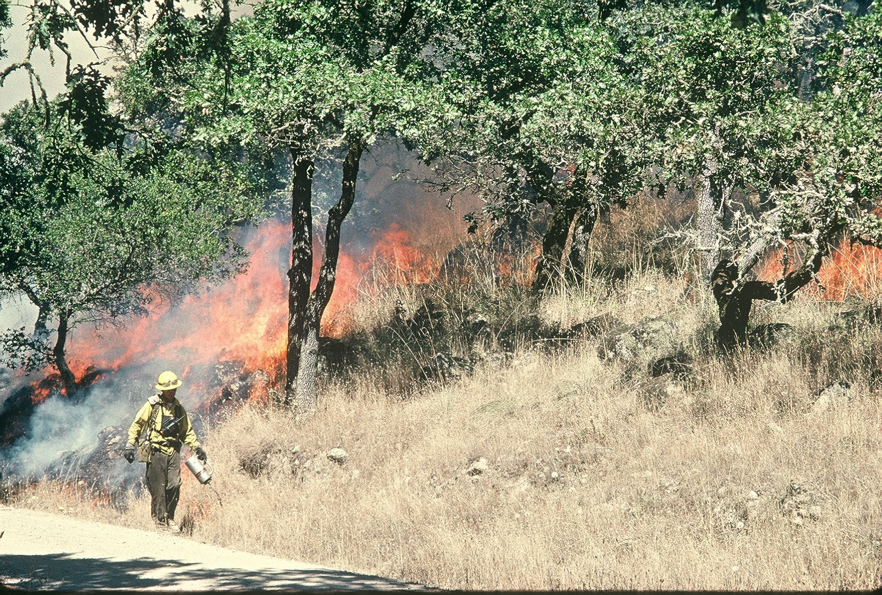 State Park Employee Conducts Prescribed Burn