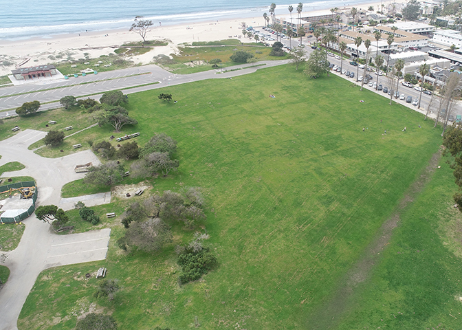 Linden Field