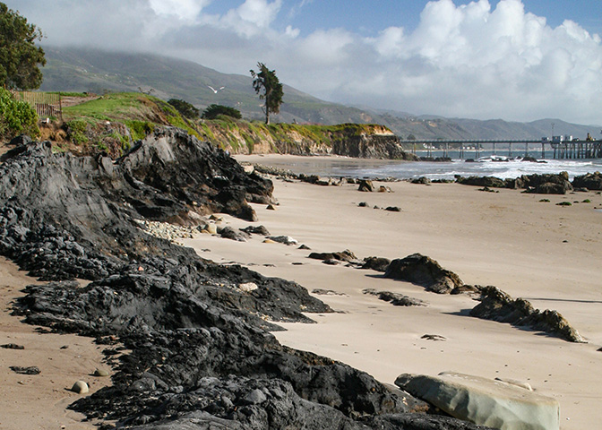 Tidepool Area