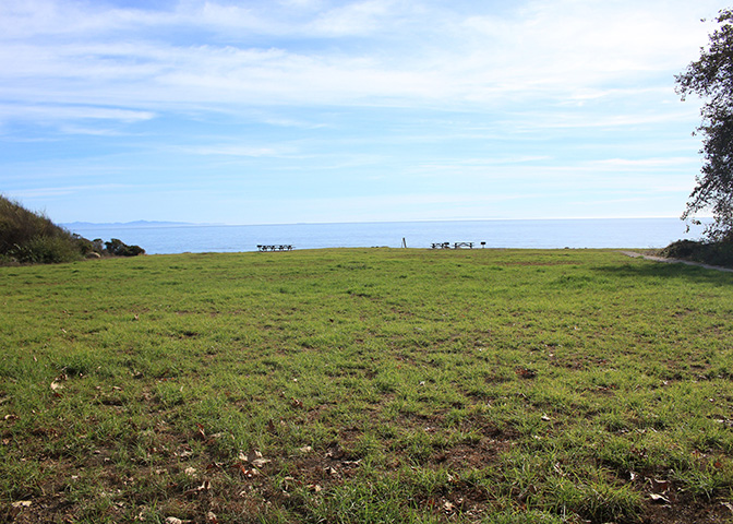 Meadow