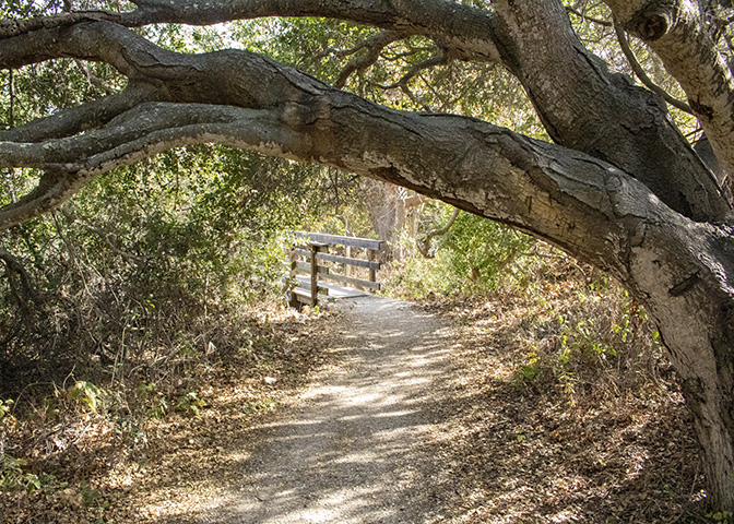 Nature Trail