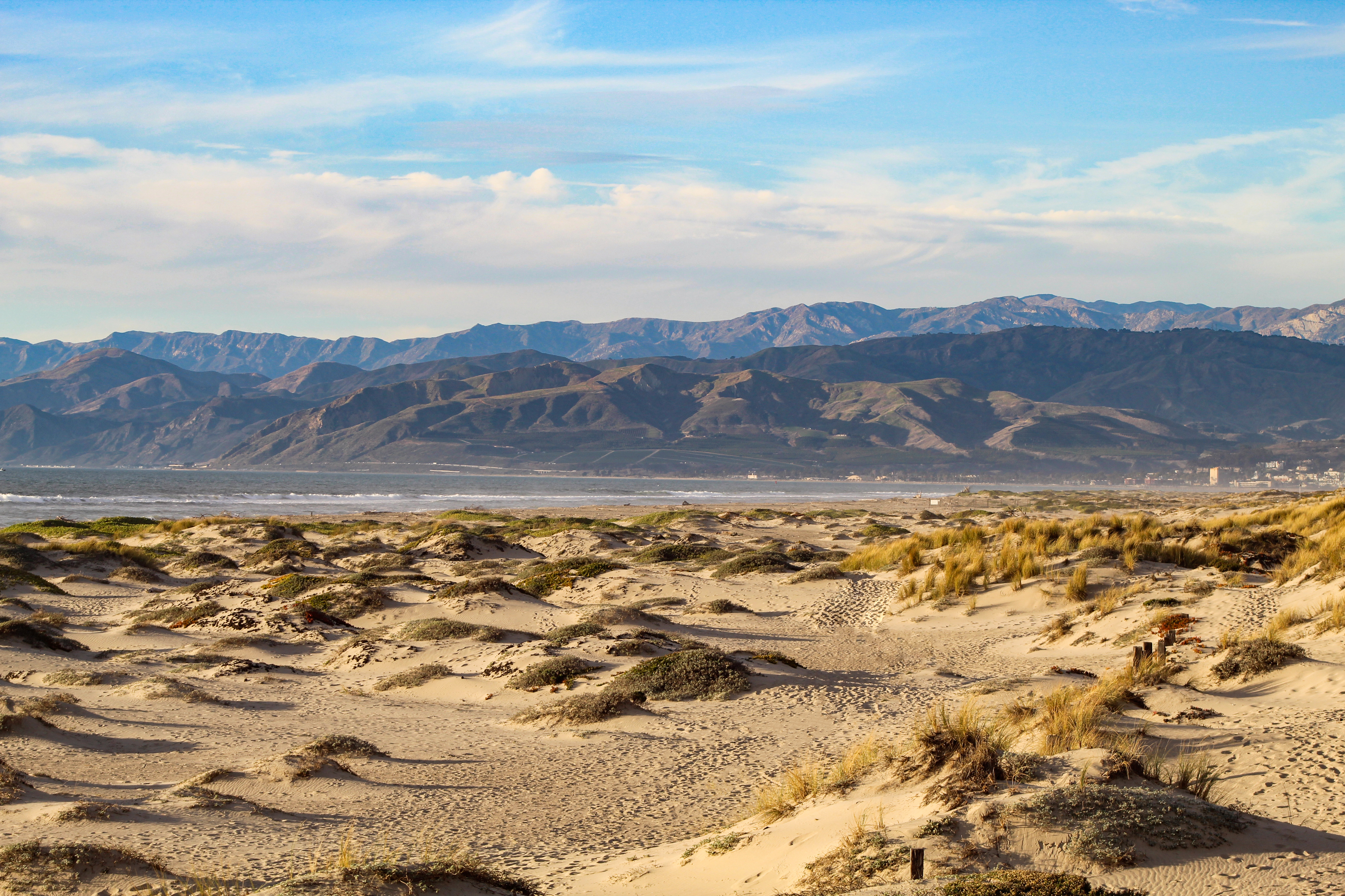Mandalay State Beach