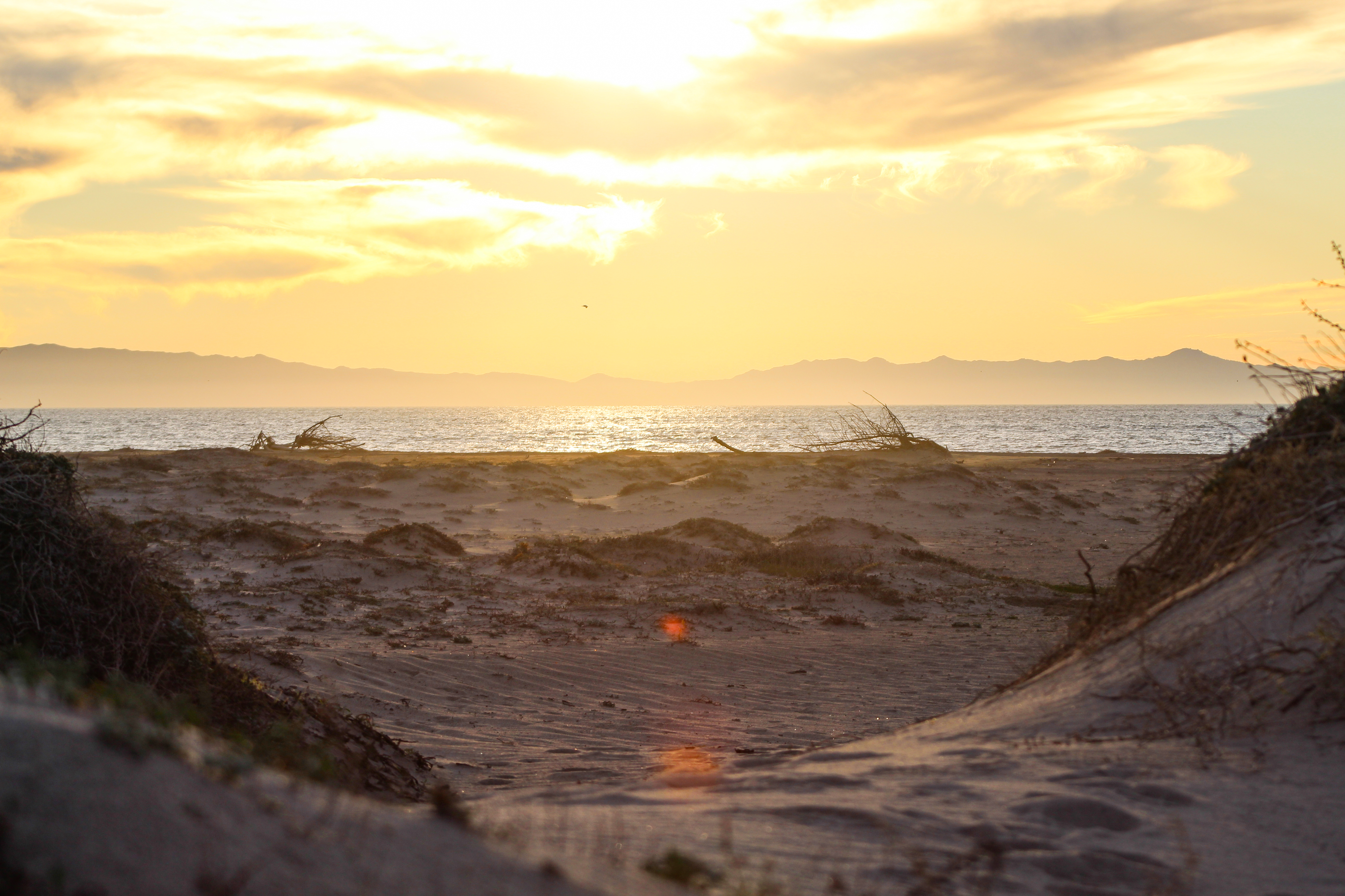 McGrath State Beach