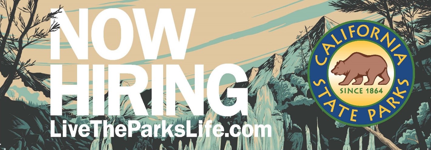 hiring banner