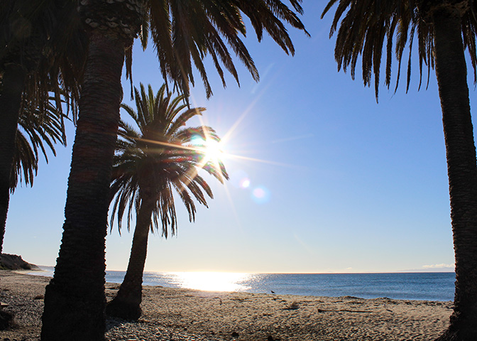 Beach Area