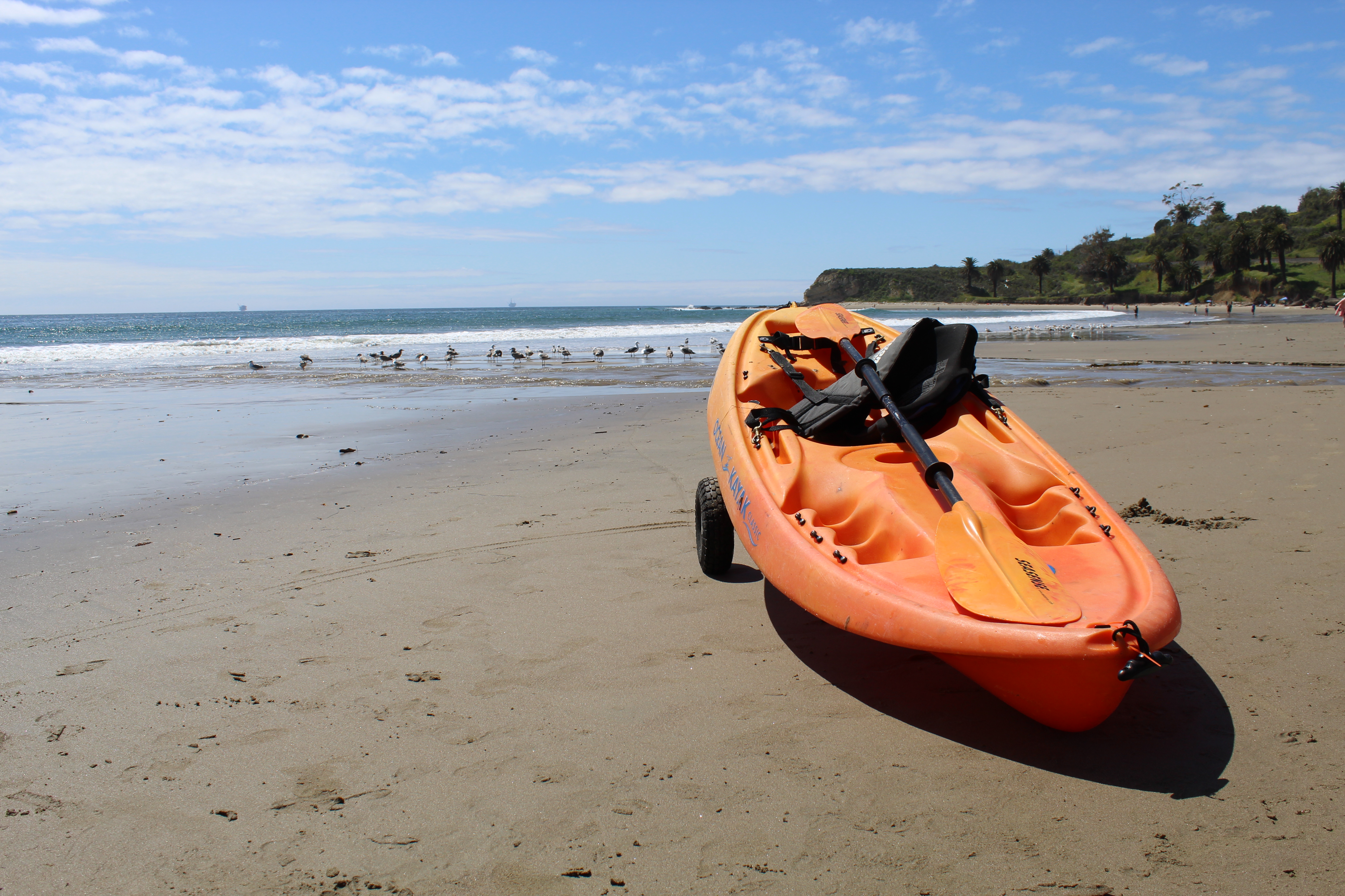 Refugio State Beach