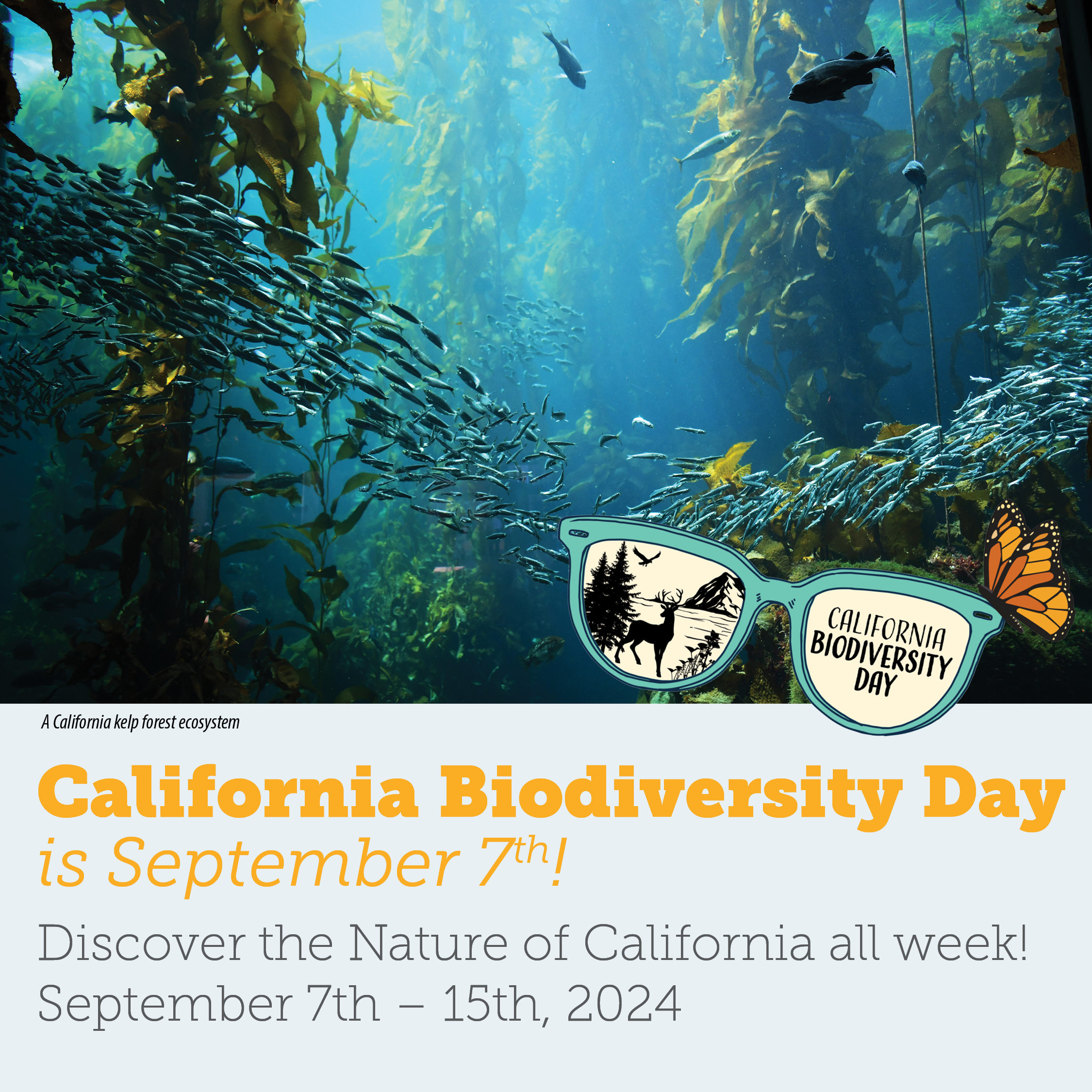 biodiversity day