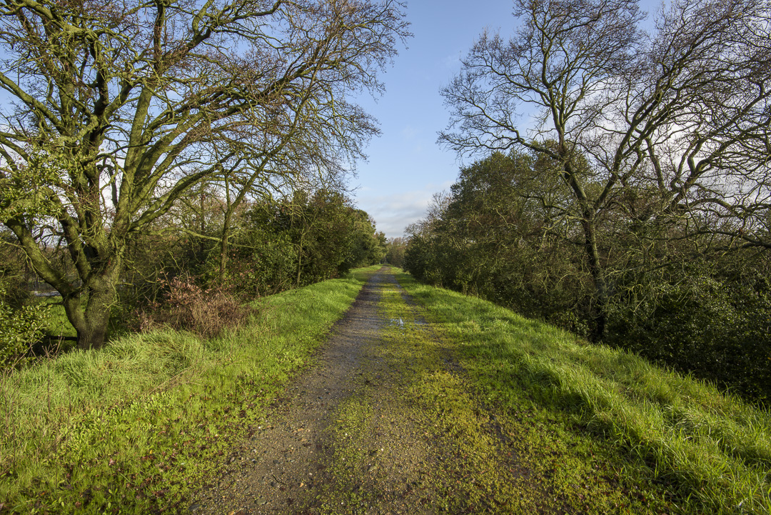 Image of Delta Meadows Park Property. Photo from California State Parks