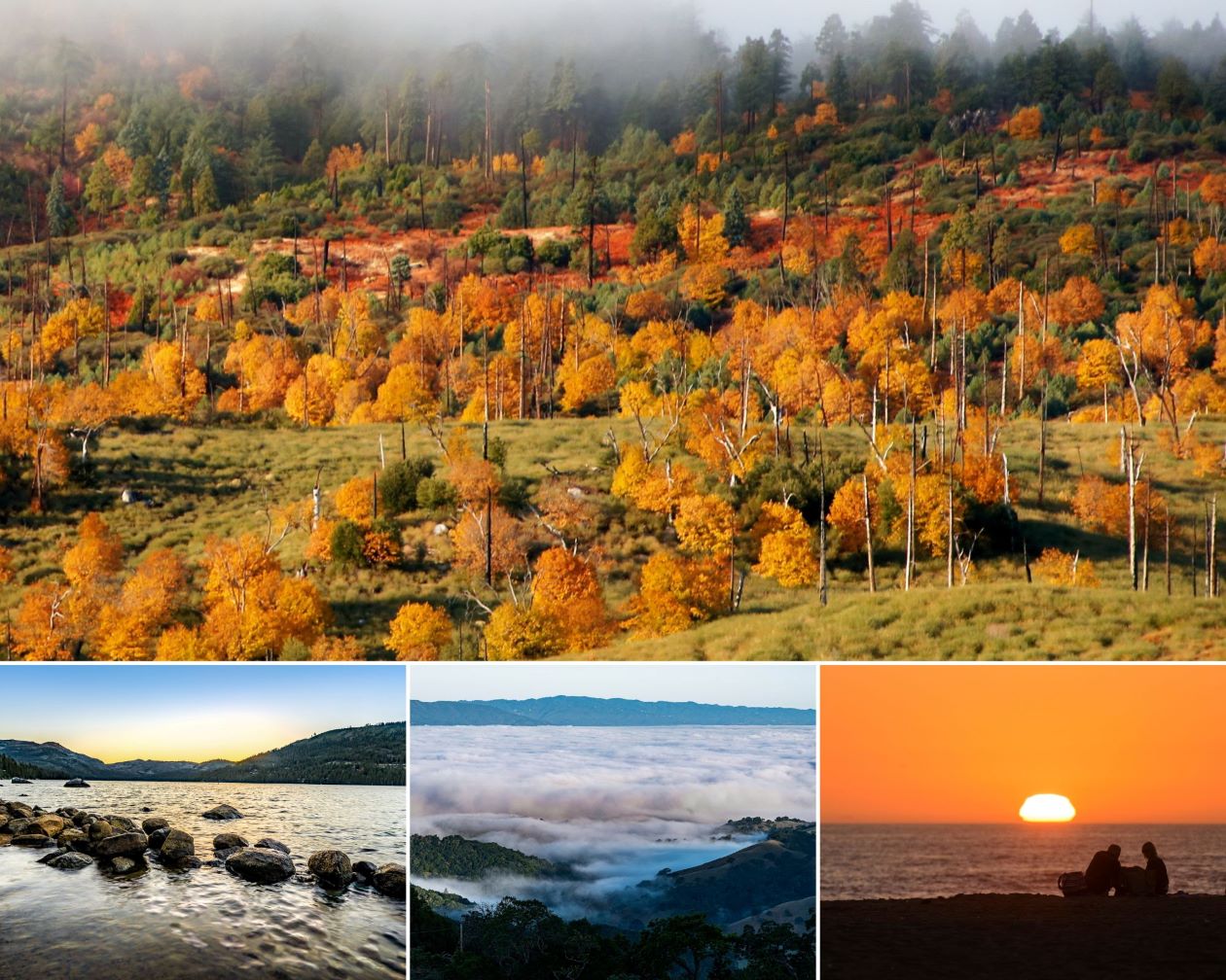 California’s state parks have epic fall destinations to visit including Cuyamaca Rancho, Donner Memorial and Henry W. Coe state parks, and Sunset State Beach.