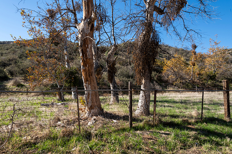 Wildwood Canyon Park Property is located approximately 75 miles east of Los Angeles and 25 miles east of San Bernardino and Riverside. Photo from California State Parks.