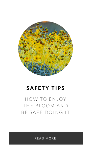 Safety Tips