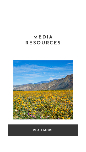 Media Resources