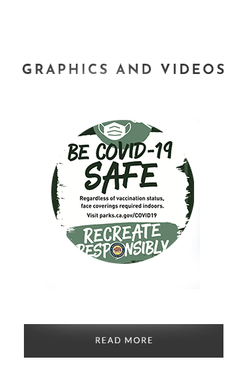 Media Downloads
