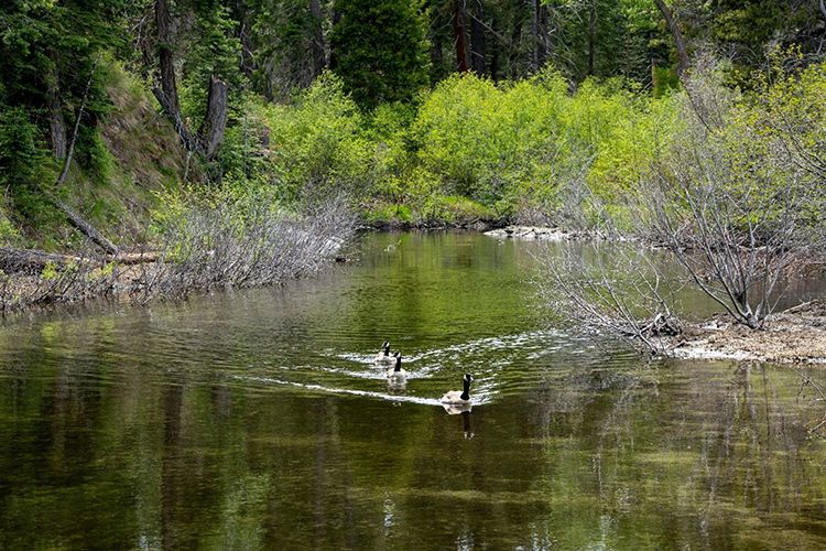 dukMéʔem wáta. Photo from California State Parks