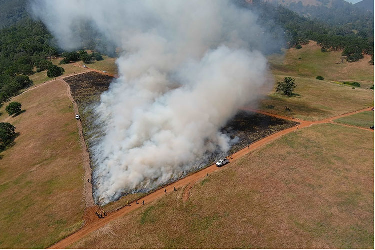 Prescribed burn at Mount Diablo State Park in May 2024. Photo from California State Parks.