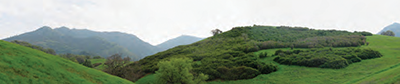Mount Diablo SP