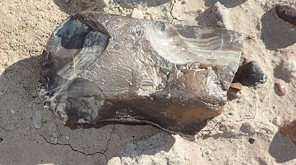 OWSVRA-chert-flaked-stone-side-1-closeup