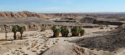 Ocotillo Wells SVRA