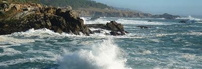Salt Point SP