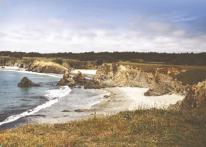 Mendocino Coast