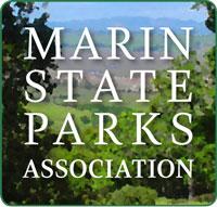 MSPA Logo